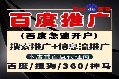 初学者的百度竞价推广：成功案例揭秘